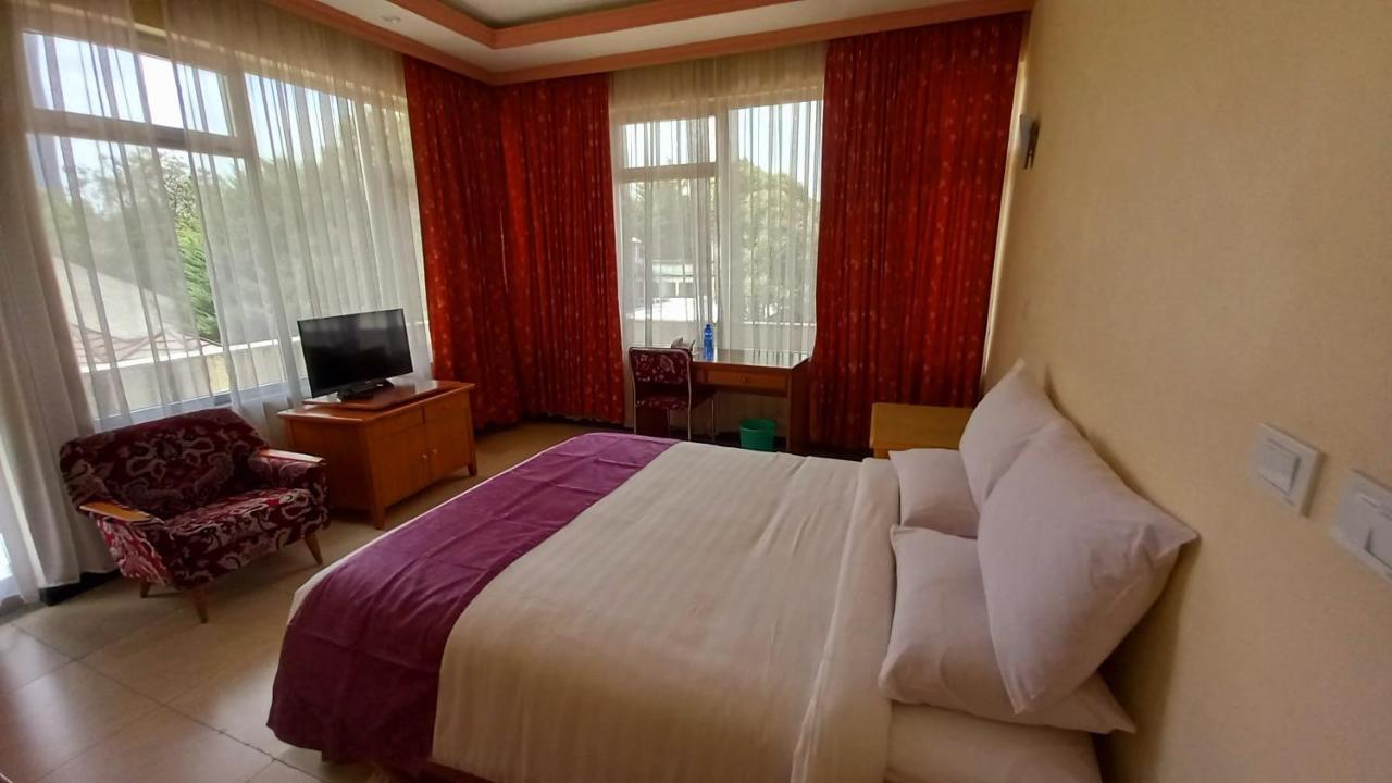 Ghion Hotel Αντίς Αμπέμπα Εξωτερικό φωτογραφία