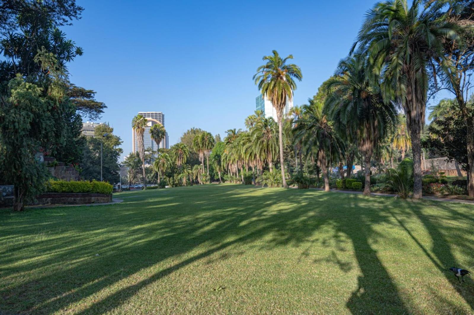Ghion Hotel Αντίς Αμπέμπα Εξωτερικό φωτογραφία