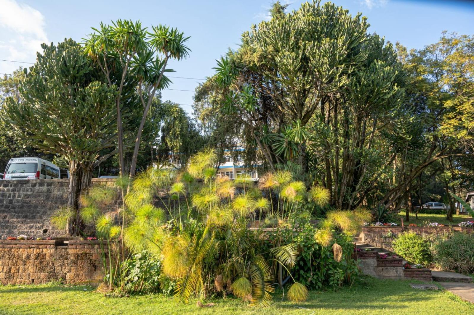 Ghion Hotel Αντίς Αμπέμπα Εξωτερικό φωτογραφία