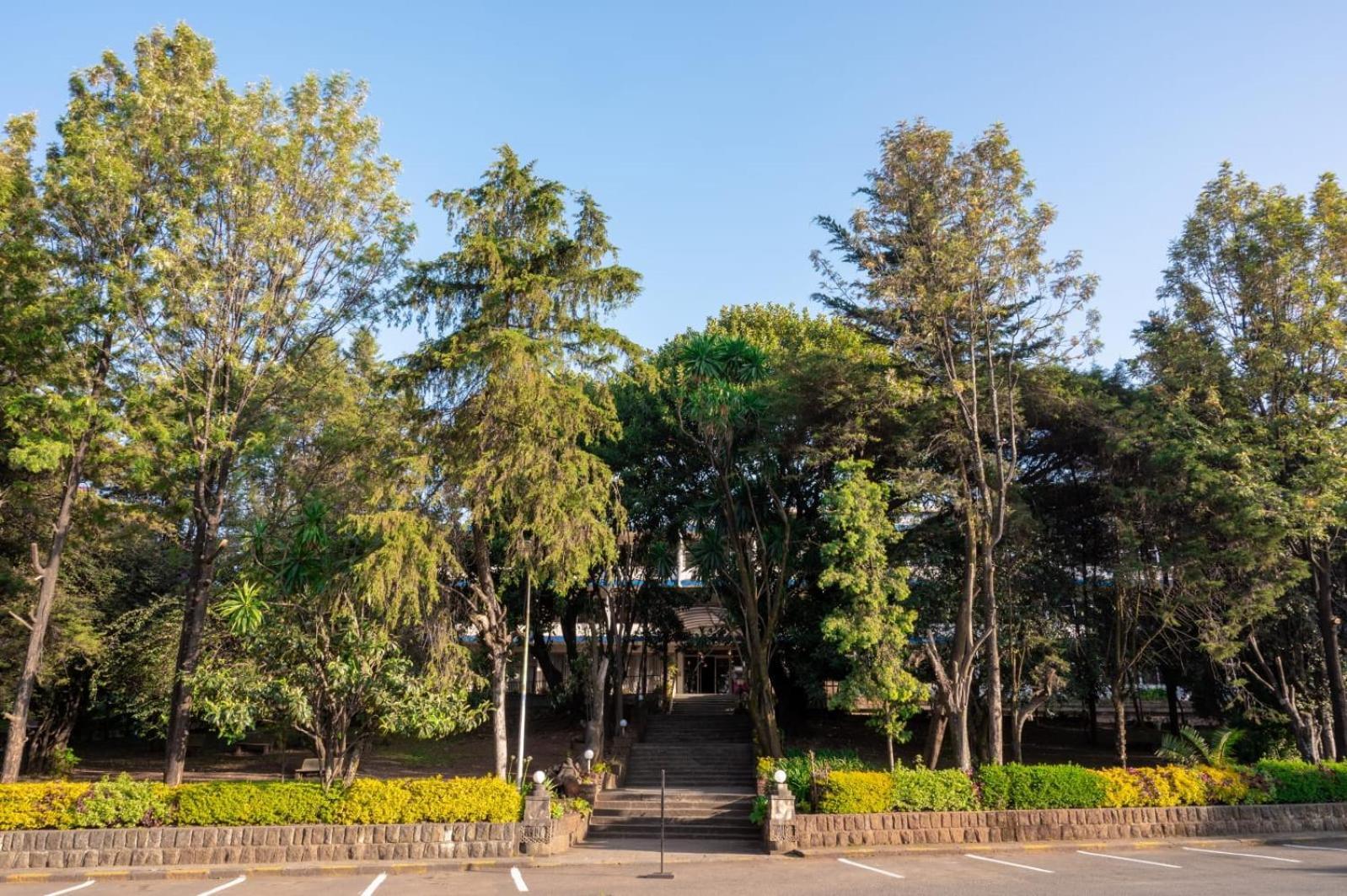 Ghion Hotel Αντίς Αμπέμπα Εξωτερικό φωτογραφία